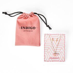 ⚡️ 3/$15 | NEW Indigo Authority Cora Pink Long Gold Pink Necklace + Earrings Set